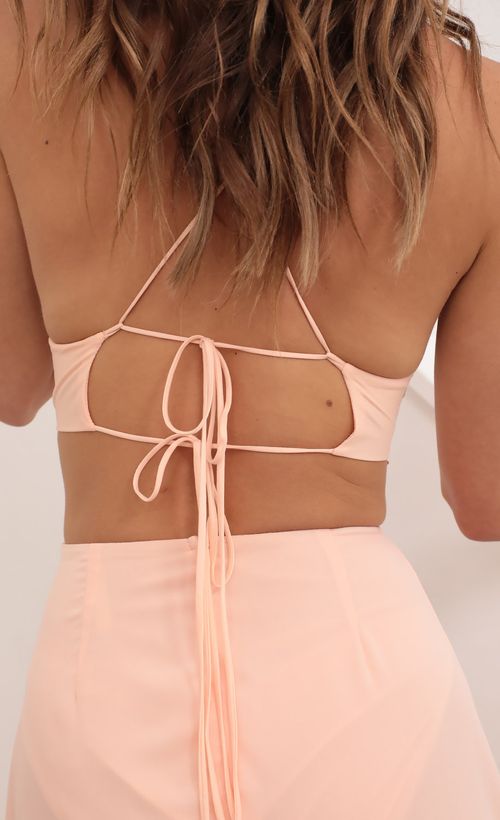 Picture Paris Maxi In Peach. Source: https://media.lucyinthesky.com/data/Apr21_1/500xAUTO/AT2A6529.JPG