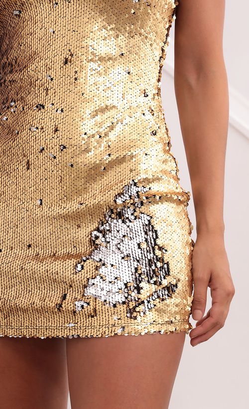 Picture Raelynn Sequin Bodycon Dress Gold/Silver. Source: https://media.lucyinthesky.com/data/Aug21_1/500xAUTO/1V9A9217.JPG