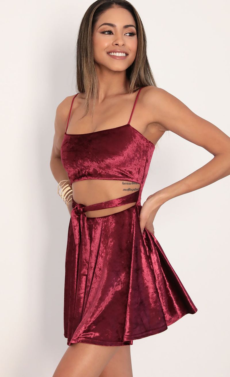 Picture Perrie Velvet A-line Dress in Merlot. Source: https://media.lucyinthesky.com/data/Jan20_2/800xAUTO/781A0016.JPG