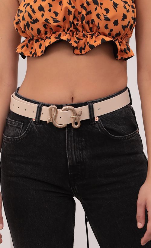 Picture Snake Charmer Belt in Taupe. Source: https://media.lucyinthesky.com/data/Jan21_1/500xAUTO/1V9A6377.JPG