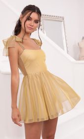 Picture thumb Jacqueline Pleated Mesh Dress in Gold. Source: https://media.lucyinthesky.com/data/Jun21_2/170xAUTO/1V9A4029.JPG