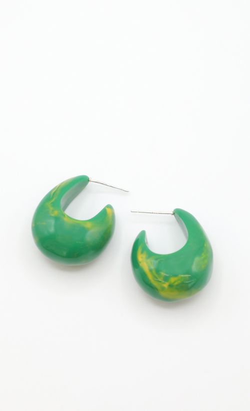 Picture Hooked On You Earring in Green. Source: https://media.lucyinthesky.com/data/Mar22_1/500xAUTO/1J7A0025.JPG