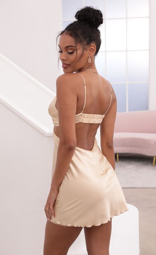 Picture Briana Draped Cowl Satin Dress in Champagne. Source: https://media.lucyinthesky.com/data/May21_1/500xAUTO/1V9A3747.JPG