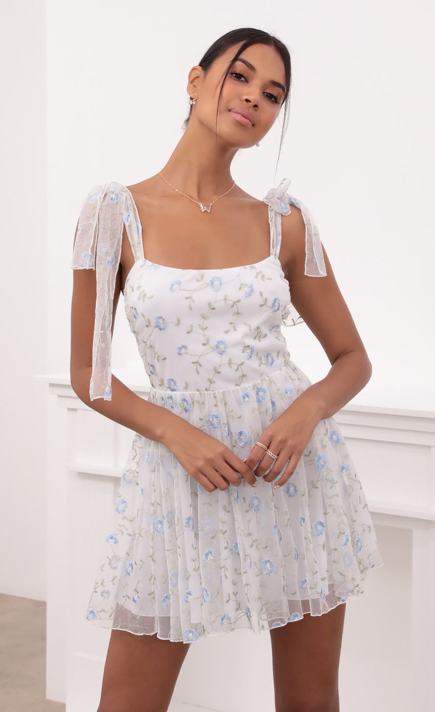 Picture Jacqueline Embroidered Blue Flower Mesh Dress in White. Source: https://media.lucyinthesky.com/data/May21_2/850xAUTO/1V9A3289.JPG