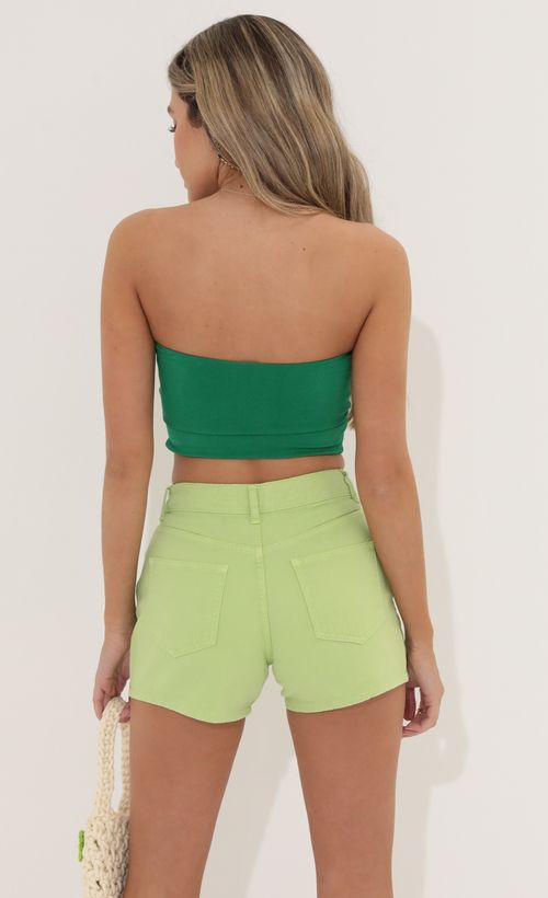Picture Laurel Tube Top in Green. Source: https://media.lucyinthesky.com/data/May22_2/500xAUTO/1V9A5190.JPG