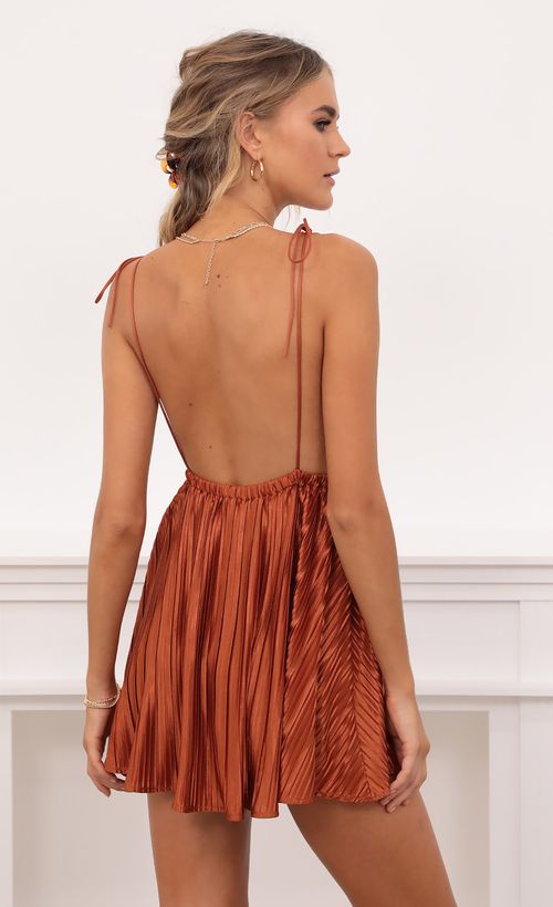 Picture Skye Pleated Shoulder Tie Dress in Rust. Source: https://media.lucyinthesky.com/data/Oct20_2/500xAUTO/1V9A6226.JPG
