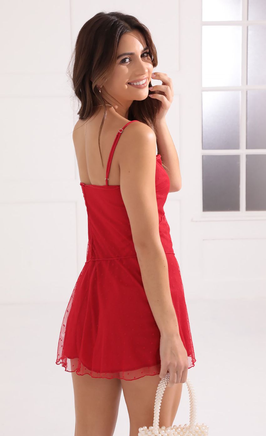 Picture Ade Patchwork Mesh Dress in Red Polka Dot. Source: https://media.lucyinthesky.com/data/Oct21_1/850xAUTO/1V9A9349.JPG